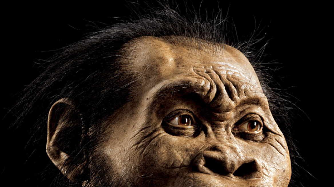 Homo naledi: Ανακαλύφθηκε νέο είδος ανθρώπου στη Νότια Αφρική! 